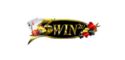 3win2u logo