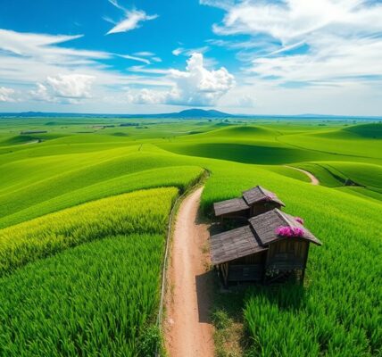 explore sekinchan s rice valley
